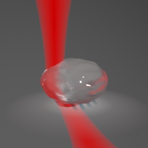 image Optical Tweezers at the limits